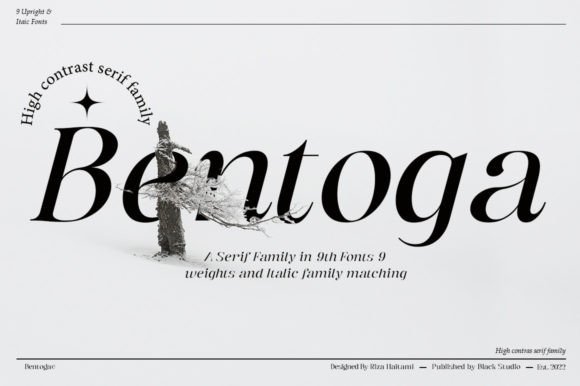 Download Bentoga Italic - Italic Collection